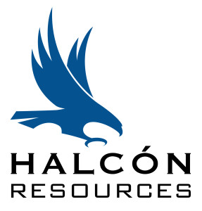 HalconLogo